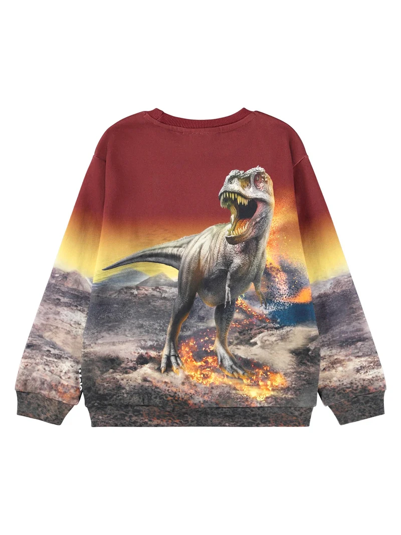 Pullover Rot