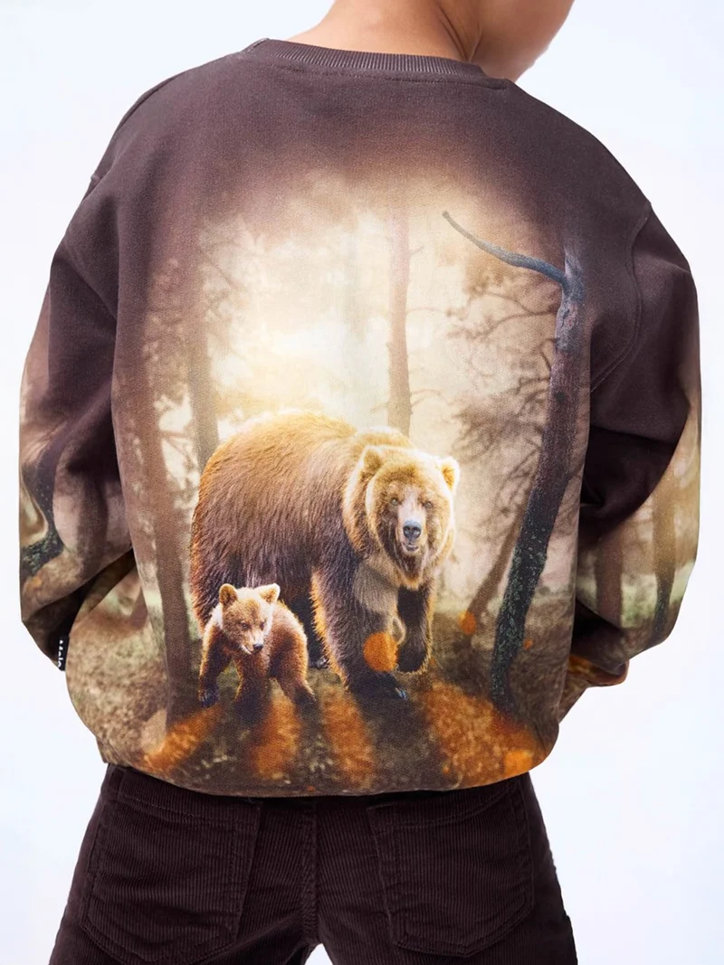 Pullover Braun