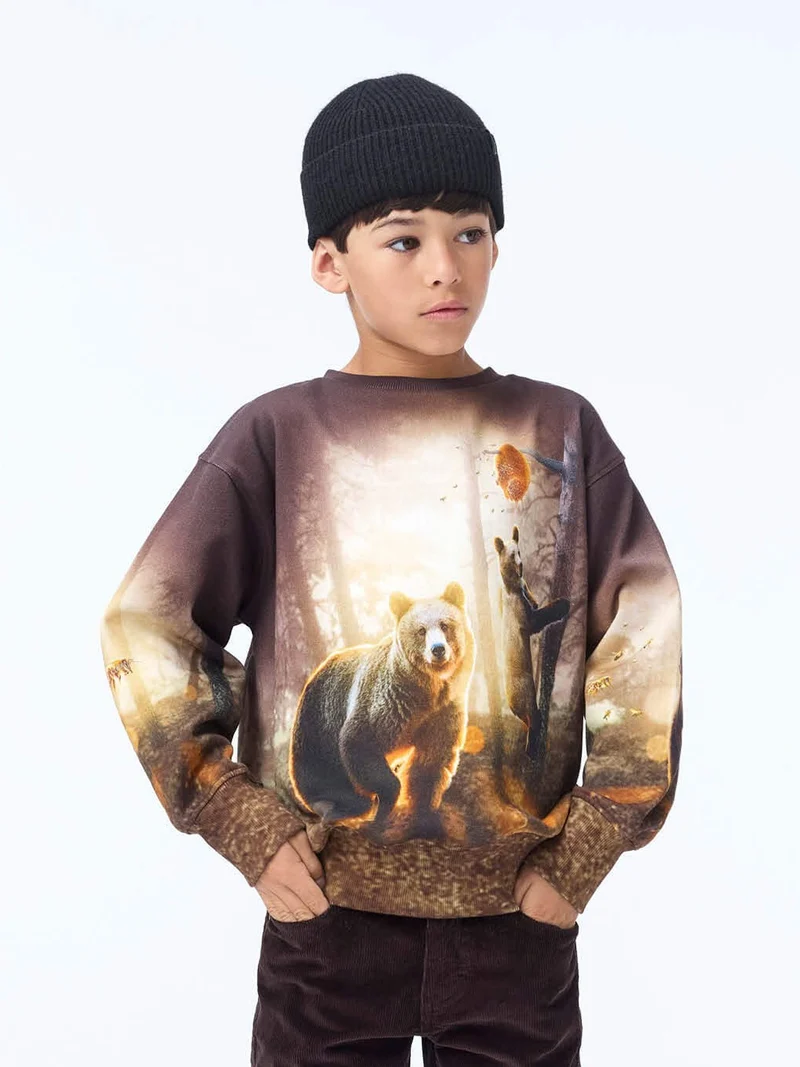 Pullover Braun