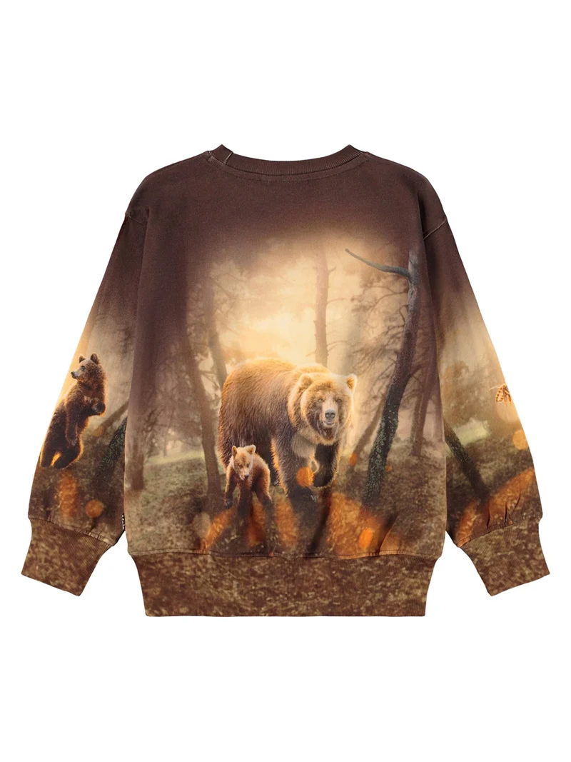 Pullover Braun