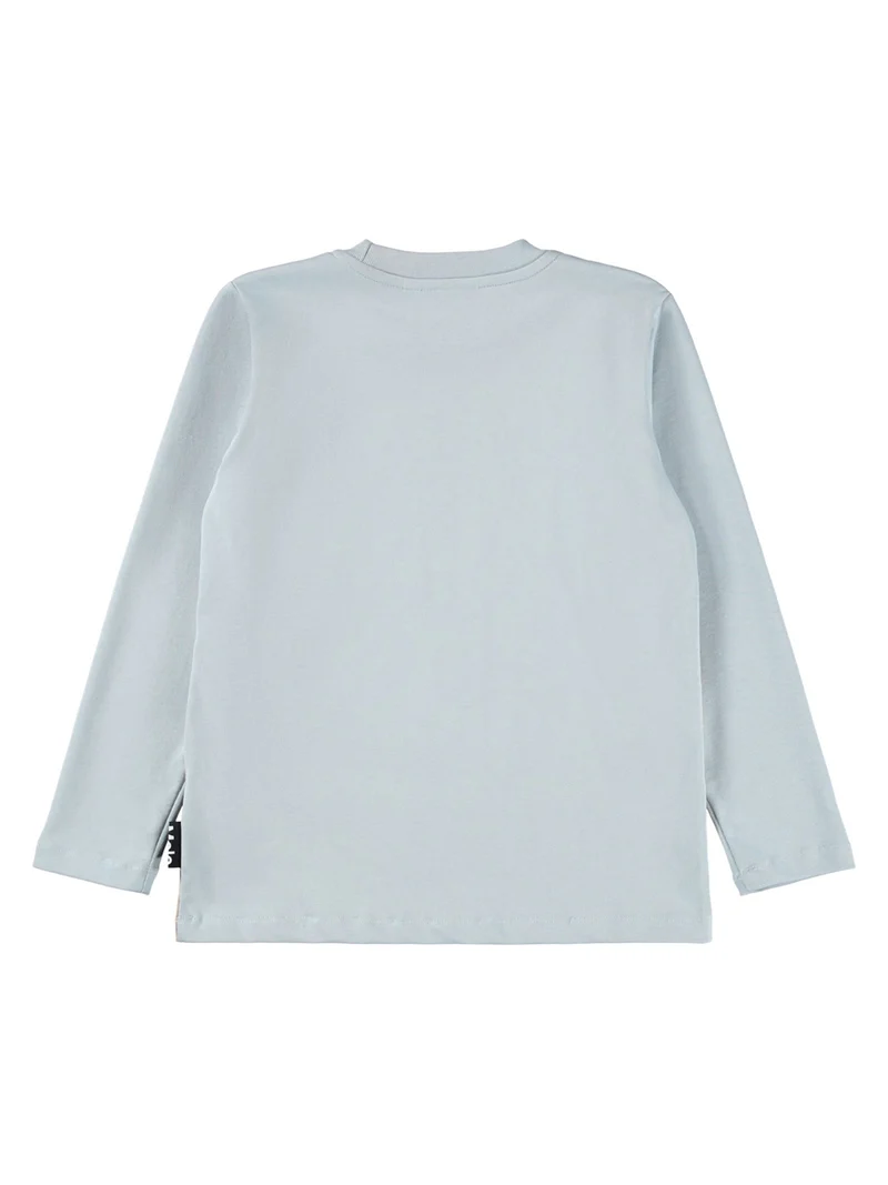 Longsleeve Hellblau