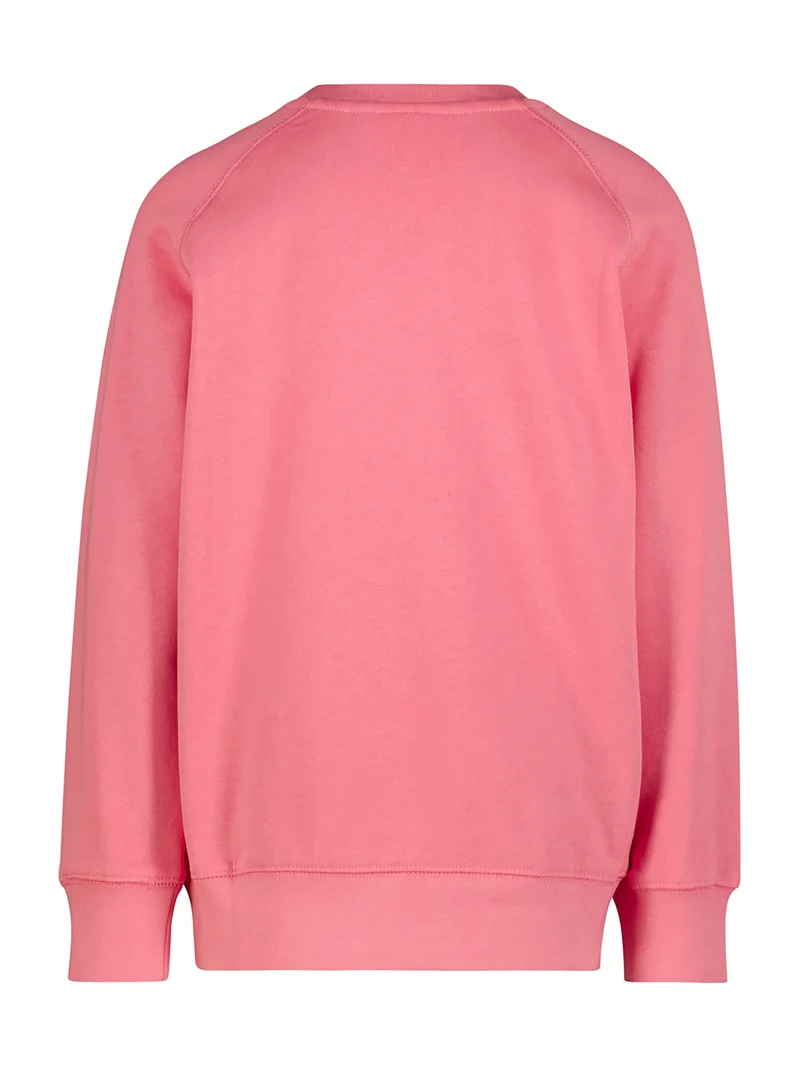 Sweatshirt Mike Rosa