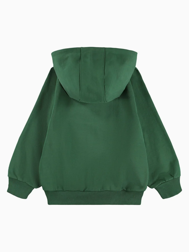 Hoodie Mic Grün