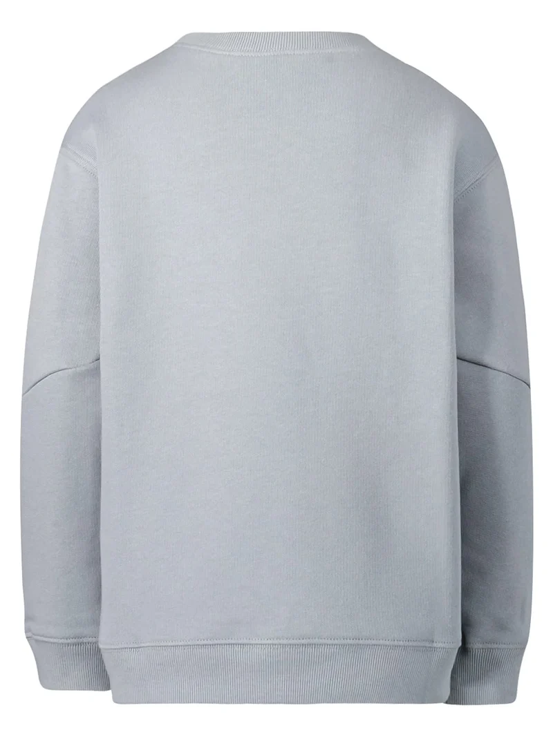 Sweatshirt Grau