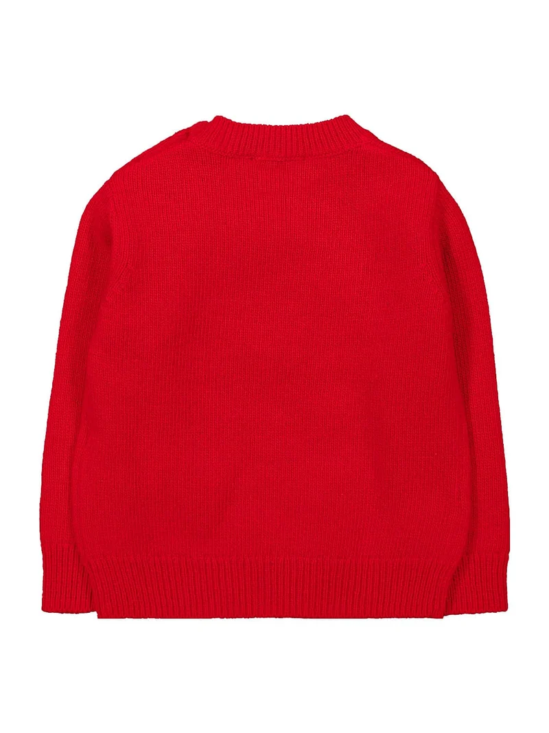 Pullover Rot
