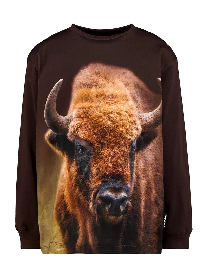 Longsleeve Rube Braun