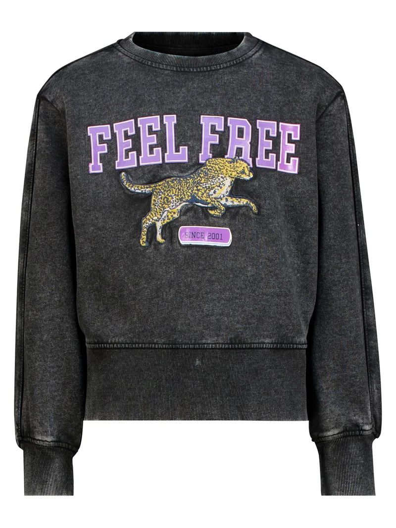 Sweatshirt Anthrazit