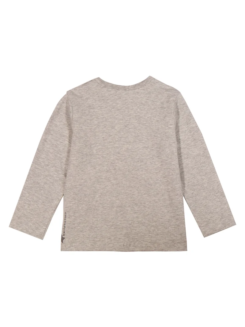 Longsleeve Grau