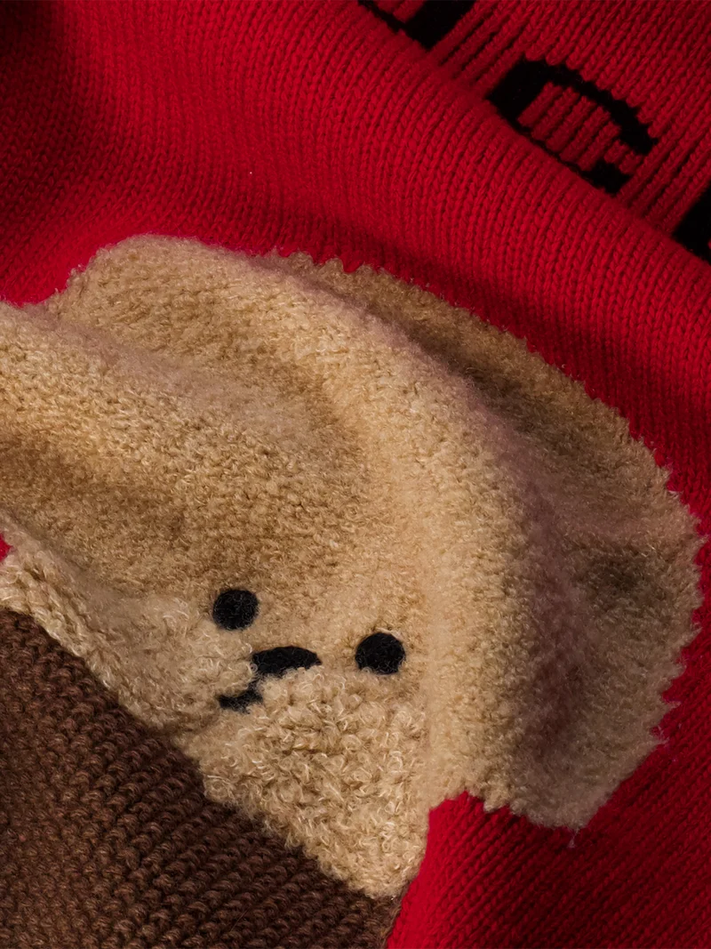 Pullover Rot